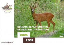 SDGC MAJ SITE WEB