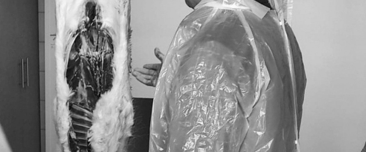 594981653_1161666079512946_3413008473794311261_n