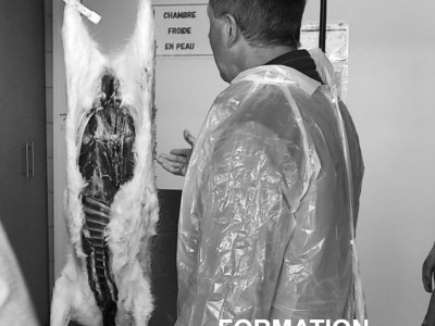 594981653_1161666079512946_3413008473794311261_n