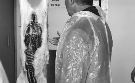 594981653_1161666079512946_3413008473794311261_n