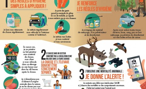 affiche biosécurité