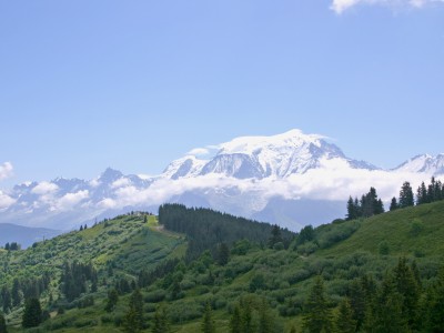 Alpbionet 2013, le meeting prend forme