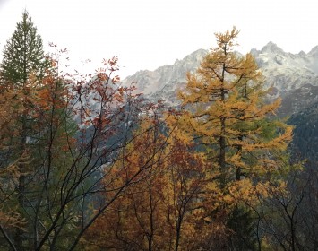 Automne - Chamonix-Mont-Blanc
