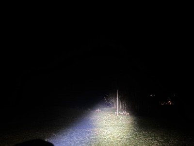 CG_cerf_val_de_Borne_comptage (2)