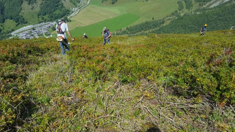 Chamonix_Péclerey_août 2017 Cailler1