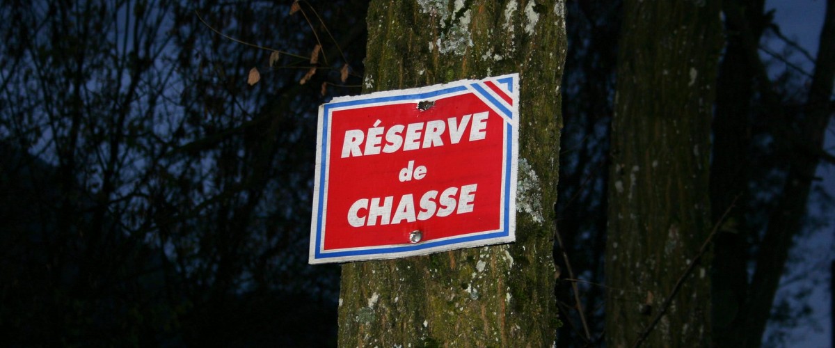 chasse monnetier