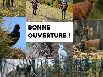 ouverture 2026/2027
