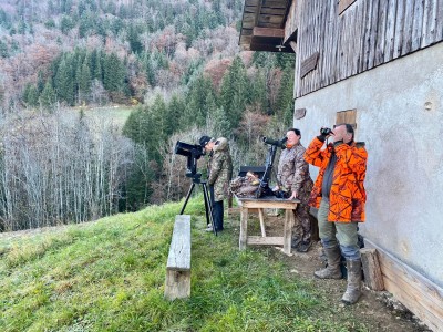 comptage chamois glières