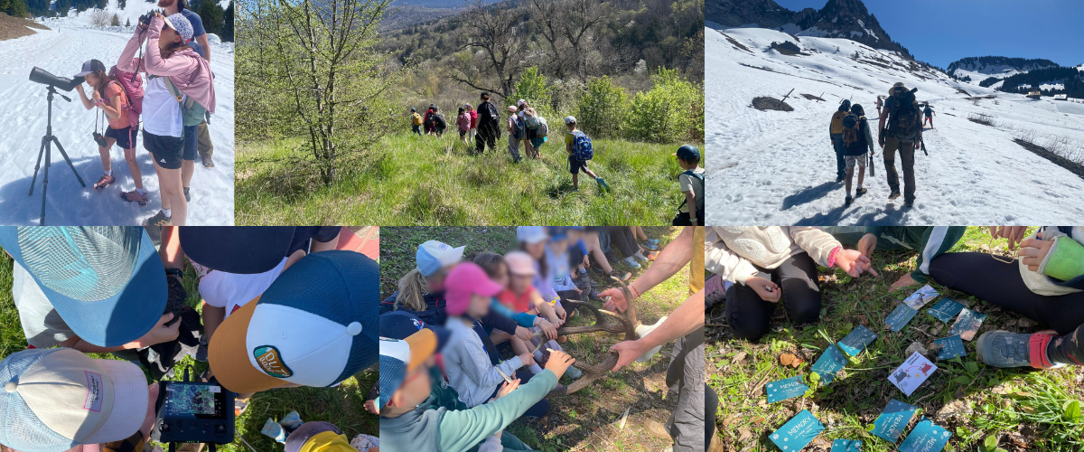 Design sans titre (1)