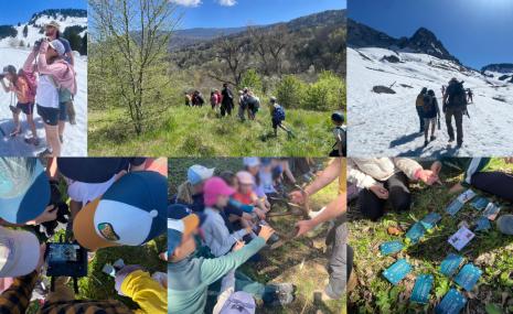 Design sans titre (1)