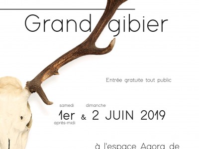 EXPO GRAND GIBIER