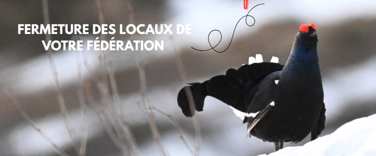 FÊTES DE NOËL_fermeture locaux