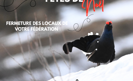 FÊTES DE NOËL_fermeture locaux