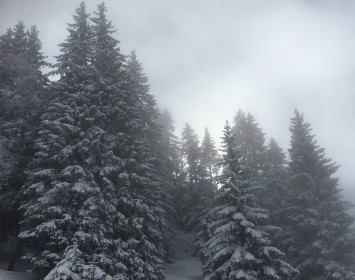 Jour blanc - Samoëns
