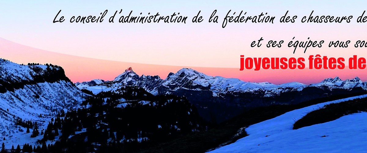 joyeuses fêtes