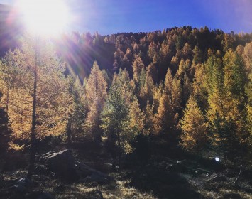 Mélèzes - Chamonix-Mont-Blanc