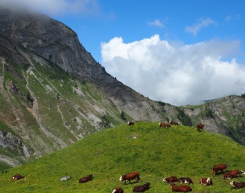 Mont Charvin - Abondance
