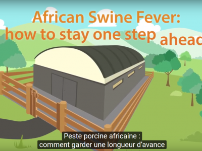 peste porcine africiane