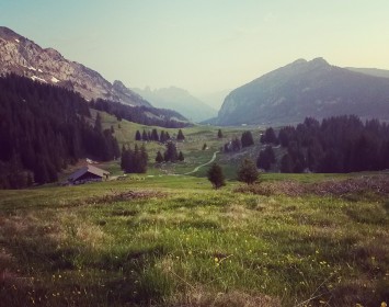 Plateau des Glières - La Balme de Thuy