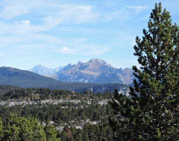 Plateau du Parmelan (74 Dinsy)