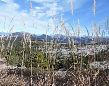 Plateau du Parmelan (74)