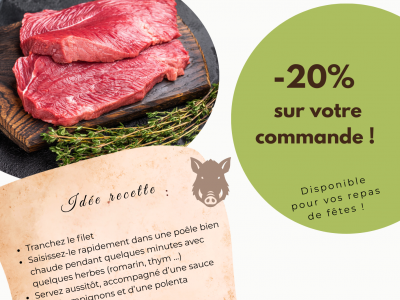 PUB PROMO SANGLIER_noel 2025