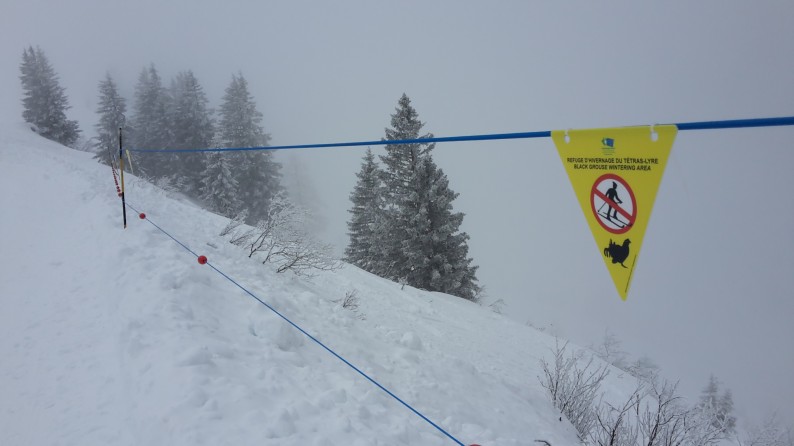 Samoëns_Coulouvrier 2_20180208