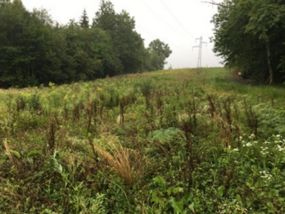 Screenshot_2018-09-14 Une chance pour la biodiversité