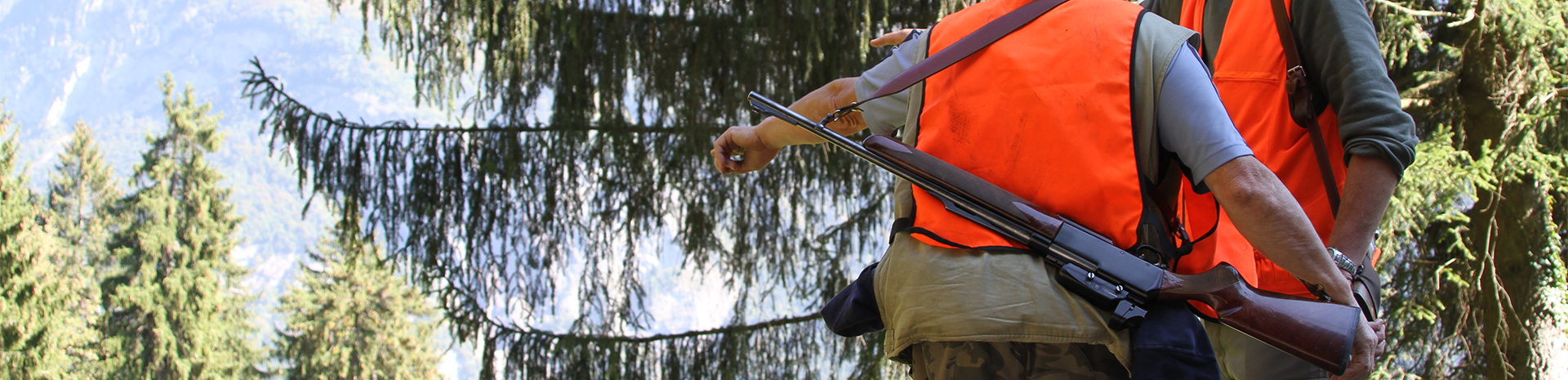 sejours jeunes chasseurs