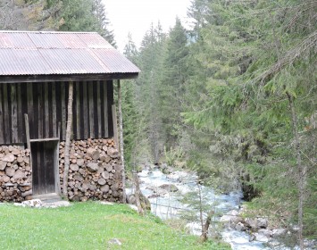 Torrent de Salles - Sixt-Fer-à-Cheval (74)