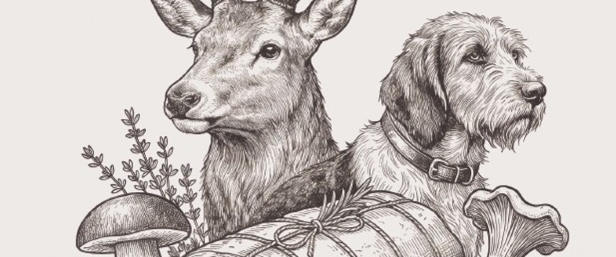 version jpeg_réseaux sociaux