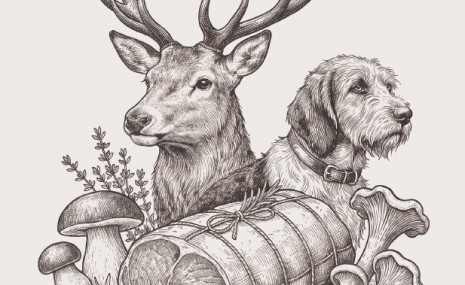 version jpeg_réseaux sociaux