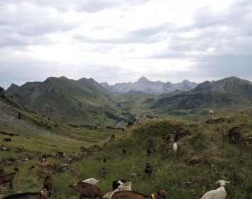 Vue sur les Aravis (74)