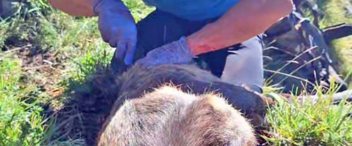 WhatsApp Image 2026-01-20 at 15.59.20