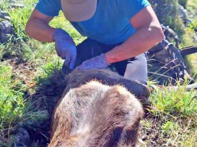 WhatsApp Image 2026-01-20 at 15.59.20